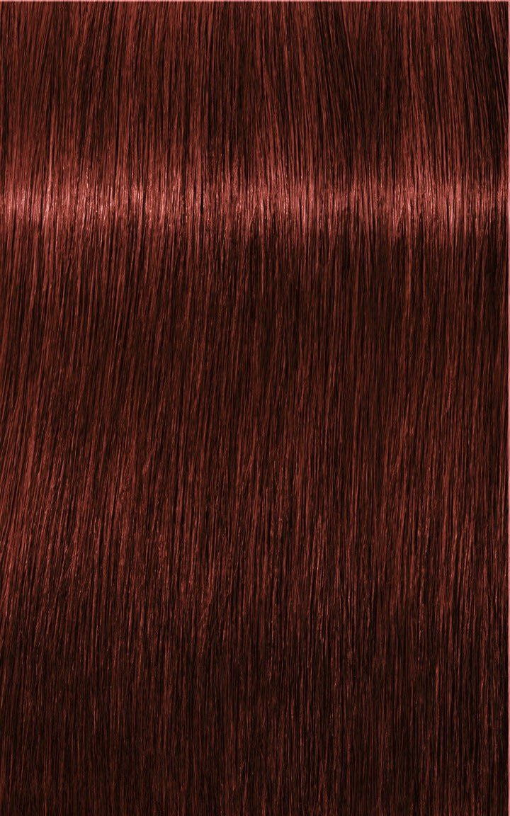 Igora Royal Absolutes 60ml