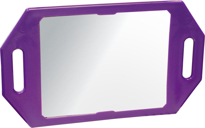 Two Handed Back Mirror